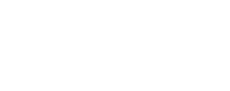 Logo Footer